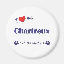 J'aime mon Chartreux (le chat femelle) Aimant