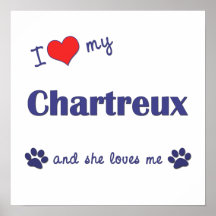 J'aime mon Chartreux (le chat femelle) Posters