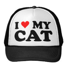 J'aime mon chat casquette