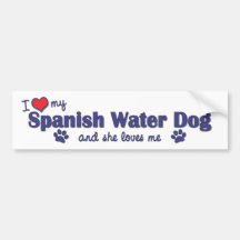 J'aime mon chien d'eau espagnol (le chien femelle) autocollant pour voiture