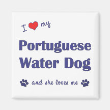 J'aime mon chien d'eau portugais (le chien femelle aimant pour réfrigérateur