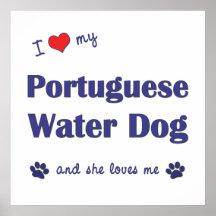 J'aime mon chien d'eau portugais (le chien femelle posters