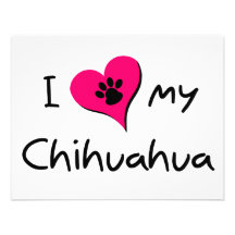 J'aime mon chiwawa bristol personnalisé