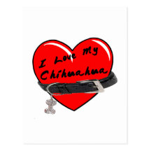 J'aime mon coeur de chiwawa avec le collier de chi carte postale