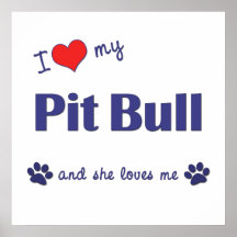 J'aime mon pitbull (le chien femelle) affiche