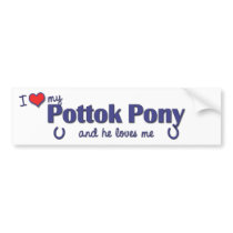 J'aime mon poney de Pottok (le poney masculin)