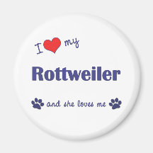 J'aime mon rottweiler (le chien femelle) aimant