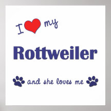 J'aime mon rottweiler (le chien femelle) posters