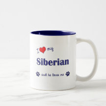 J'aime mon sibérien (le chat masculin) mugs à café