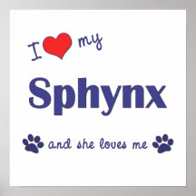 J'aime mon Sphynx (le chat femelle) Posters