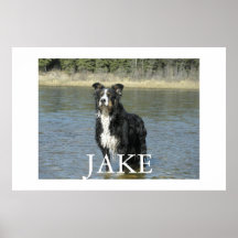 Jake Posters