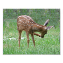 Jambe vers le haut de faon impressions photo