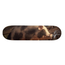 Jambon fumé plateau de skate