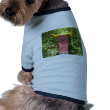 Japonais guérissant t-shirts pour toutous