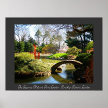 Jardin botanique de New York City - de Brooklyn Affiches