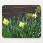 Jardin de jonquille tapis de souris