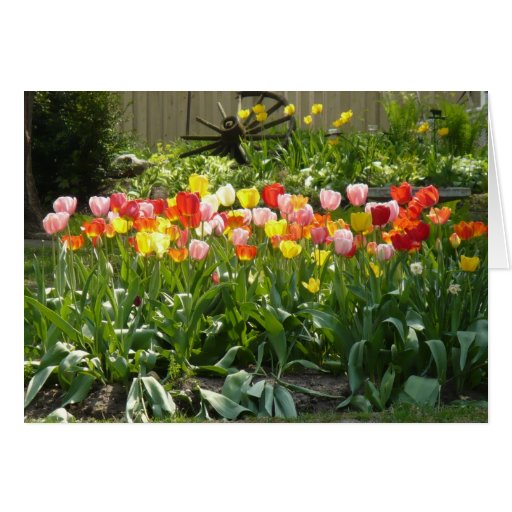 Jardin de printemps carte de vœux