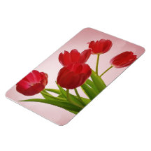 JARDIN DE TULIPES MAGNET