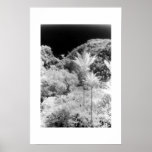 Jardin d'Éden Posters