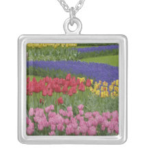Jardin des tulipes, jacinthe de raisin et colliers personnalisés