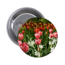 Jardin DSC0855 de tulipe Badges Avec Agrafe