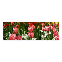 Jardin DSC0855 de tulipe Cartes De Visite Professionnelles