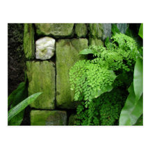 Jardin en pierre - carte postale