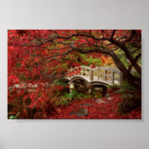 Jardin japonais, Colombie-Britannique Poster