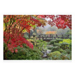 Jardin japonais dans une carte brumeuse de matin d faire-part personnalisé