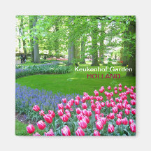 Jardin rose de tulipes aimants pour réfrigérateur