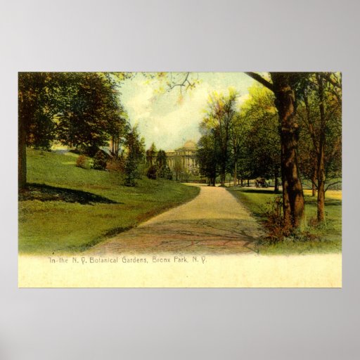 Jardins botaniques, cru 1905 de Bronx New York Affiche