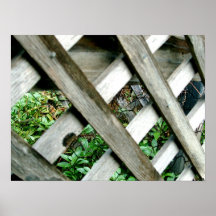 Jardins clôturés affiches