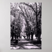 Jardins de St de Lygon Poster