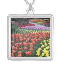 Jardins de tulipe bijouterie