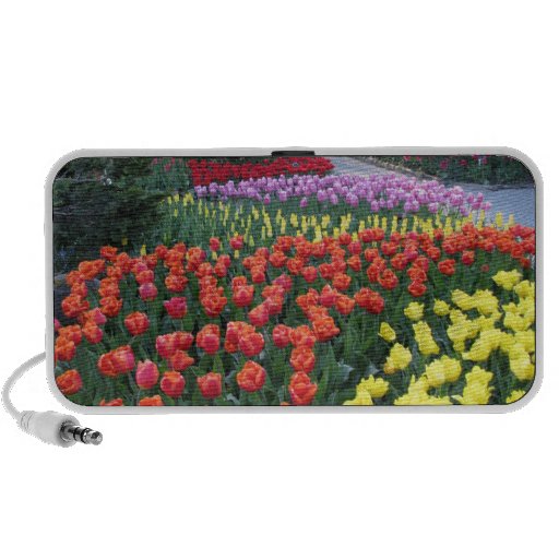 Jardins de tulipe haut-parleur iPod
