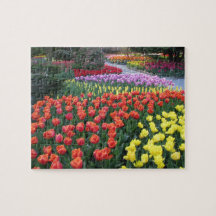 Jardins de tulipe puzzle avec photo