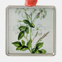 Jasmin, de 'La Guirlande de Julie' Décorations De Noël