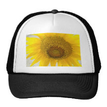 Jaune électrique casquettes