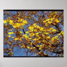Jaune Posters