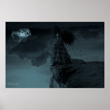 je ne peux pas voler posters