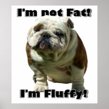 Je ne suis pas grosse affiche de bouledogue