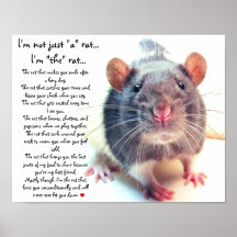 Je ne suis pas simplement rat de "a" affiches