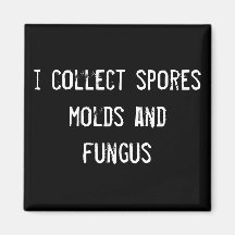je rassemble les moules et le champignon de spores aimants