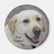 Je suis Toundra Magnets