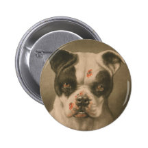 Je suis un mauvais chien ce qu'un peu le chien son badges