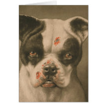 Je suis un mauvais chien ce qu'un peu le chien son cartes