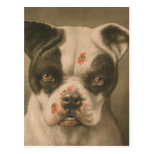 Je suis un mauvais chien ce qu'un peu le chien son carte postale