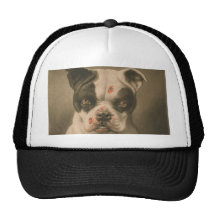 Je suis un mauvais chien ce qu'un peu le chien son casquette de camionneur