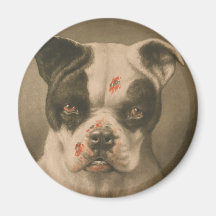 Je suis un mauvais chien ce qu'un peu le chien son aimants