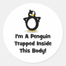 Je suis un pingouin emprisonné à l'intérieur de ce adhésifs ronds